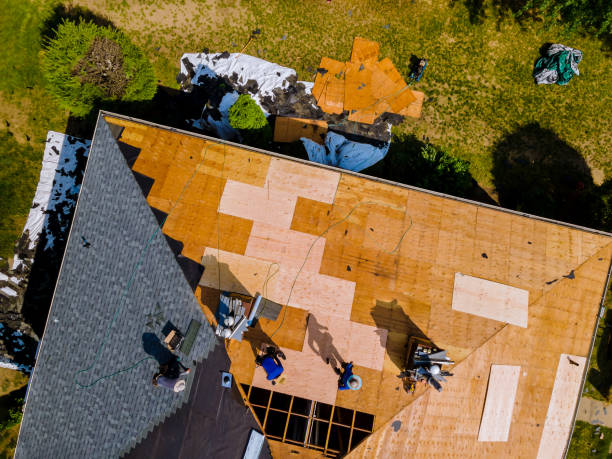 Best Gutter Installation and Roofing  in Coalfield, TN