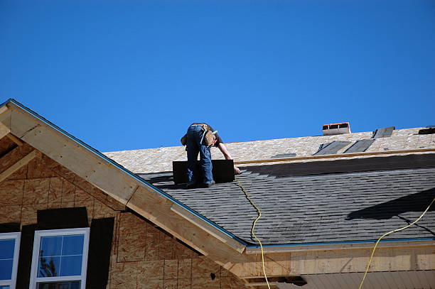 Best New Roof Installation  in Coalfield, TN