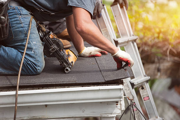 Best Best Roofing Contractors  in Coalfield, TN