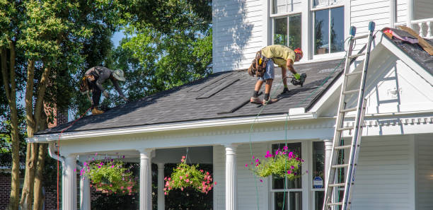 Best Shingle Roofing Installation  in Coalfield, TN